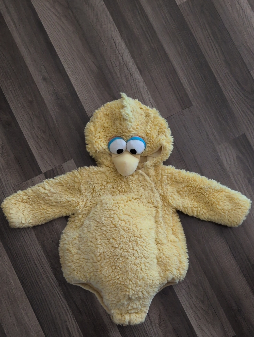 Pottery Barn Kids Yellow Plush Big Bird Costume Onesie